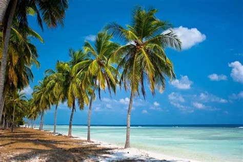 3 Nights 4 Days Lakshadweep Tour - Itinerary, Sightseeing