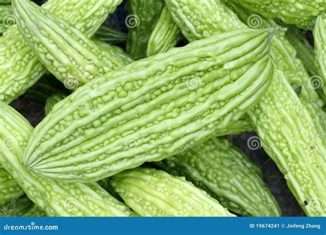 Balsam pear stock image. Image of vegetable, background - 19674241