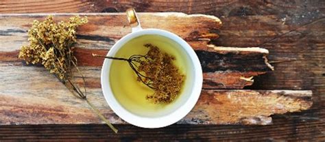 Elderflower Tea Benefits and Side Effects | Kent Tea & Coffee Co