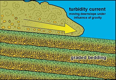 6.16: Sedimentary Structures Preserved in Bedding - Geosciences LibreTexts