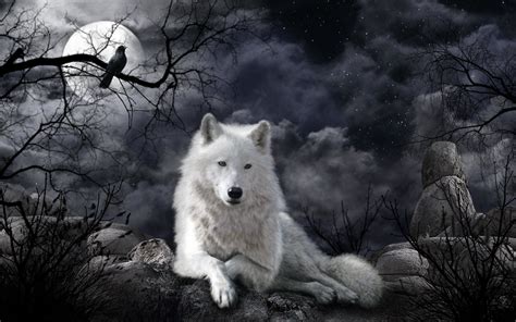 Raven and Wolf Wallpapers on WallpaperDog