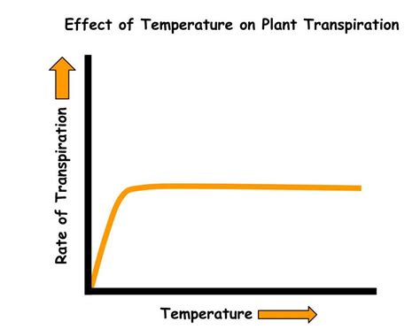 Transpiration: How Cannabis Sweats | A GrowerIQ Primer