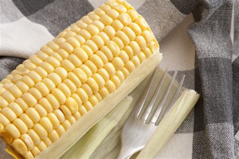 Uncooked sweet corn on the cob - Free Stock Image