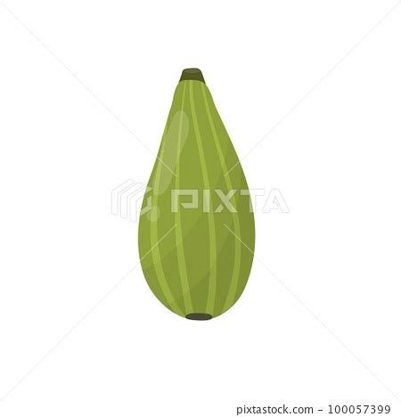 Summer fig isolated element. Breva tropical... - Stock Illustration [100057399] - PIXTA