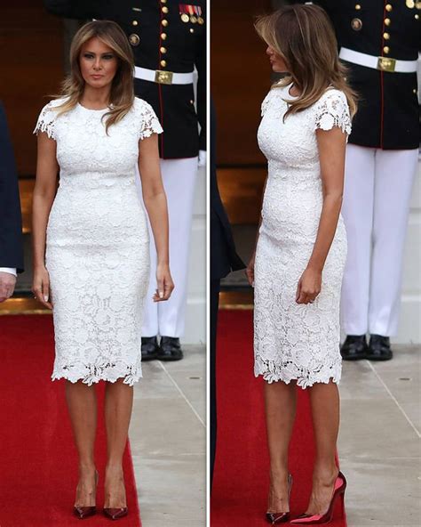 Melania Trump dazzles in tight lacy dress at White House dinner with ...