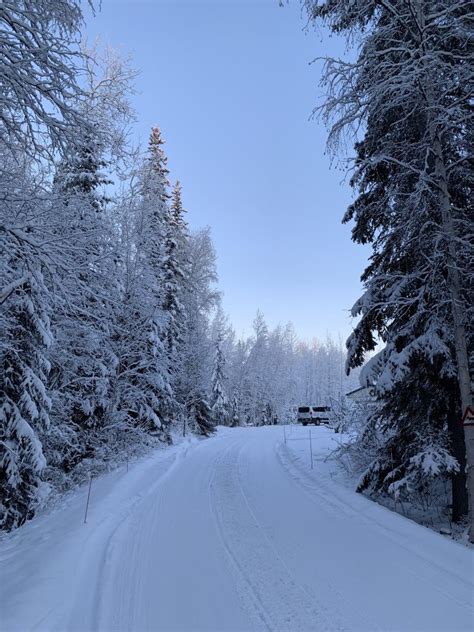 Best 22 Fairbanks Winter Activities - Home, Family, Style and Art Ideas