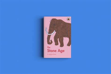 The Stone Age — Debbie Bibo Agency