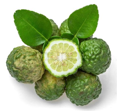 Bergamot fruit | Stock Photo | Colourbox