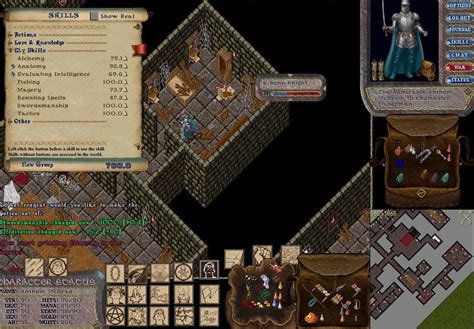 Ultima Online (Game) - Giant Bomb