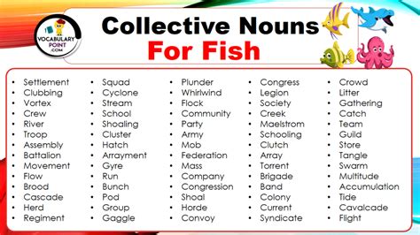 Collective Nouns For Fish (With Meaning and Examples) - Vocabulary Point