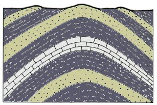 Anticline and Cross-Section