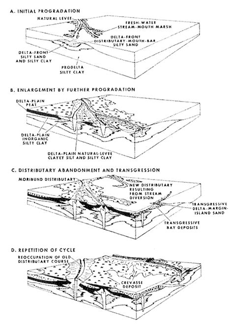 {LaB} » ecology of:river DELTA formation