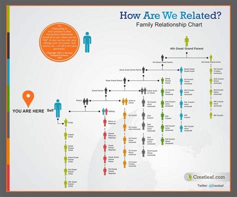 Family Relationship Chart for Genealogy and DNA Research | Family relationship chart ...