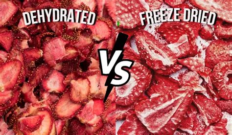 Freeze Drying VS. Dehydration | Dehydrators Blog