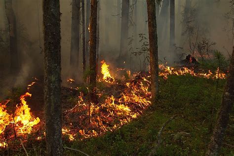 Largest Brush and Forest Fires In Recorded History - WorldAtlas.com