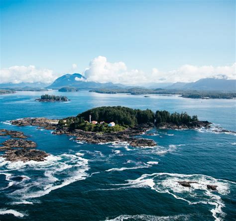 aerial view tofino bc - Tofino Resort + Marina