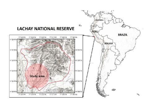 Study area in the Coastal desert of Peru. | Download Scientific Diagram