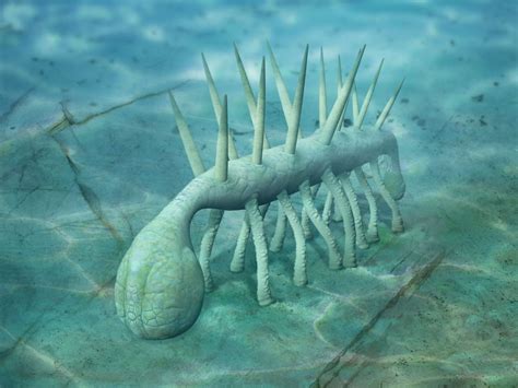 Hallucigenia Facts | Cambrian Worm | DK Find Out