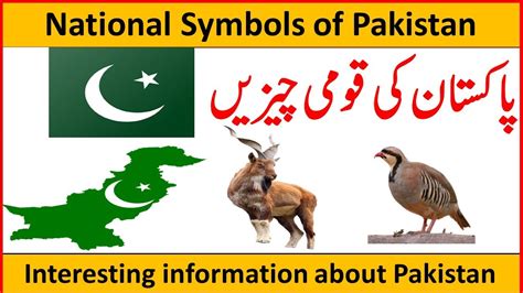 National Symbols and things of Pakistan || National animal of Pakistan | National bird of ...