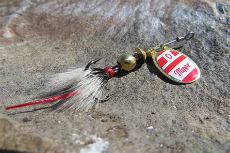 The 10 Best Trout Lures for Rivers and Streams – Tilt Fishing