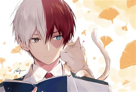 HD wallpaper: Anime, My Hero Academia, Shoto Todoroki | Wallpaper Flare