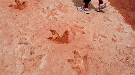 Tuba City Dinosaur Tracks - Top Places to See in Arizona