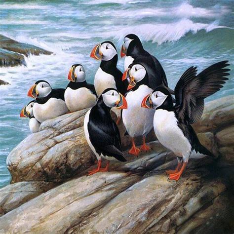 Puffins Diamond Painting Kit - Diamond Painting Canada