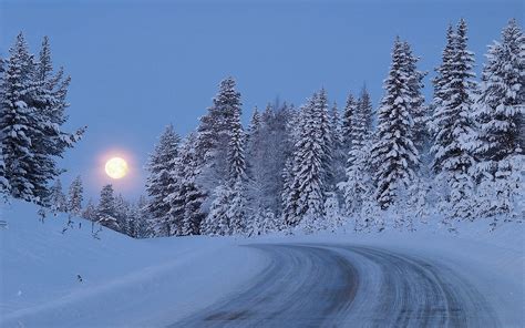 Snowy Moonlight Wallpaper - WallpaperSafari