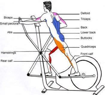 Elliptical Machine types, workouts, benefits over a Treadmill