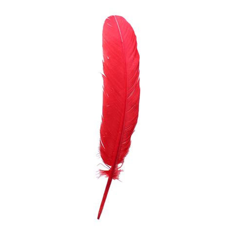 Turkey Feathers, Red Turkey Round Quill Feathers 12-14 inches 20 Piece ...