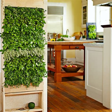 8 Easy Ways to Create a Vertical Garden Wall Inside Your Home