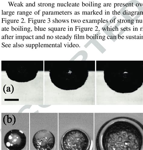 Images of two realizations of typical strong nucleate boiling. (a)... | Download High-Resolution ...