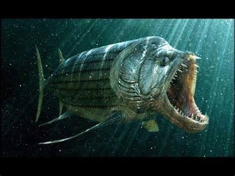 Top Documentary - Ancient Sea Creatures - Ocean Monsters - YouTube