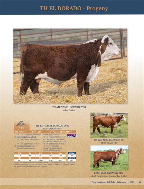 Topp Herefords 2022 Bull Sale Catalog by Topp Herefords - Issuu