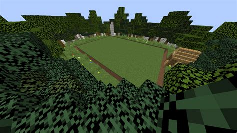 The Job Minecraft Map