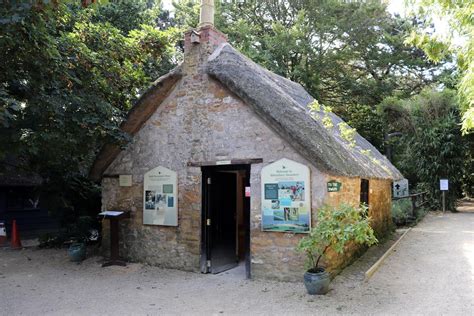 Abbotsbury Swannery - Dorset - What the Redhead said