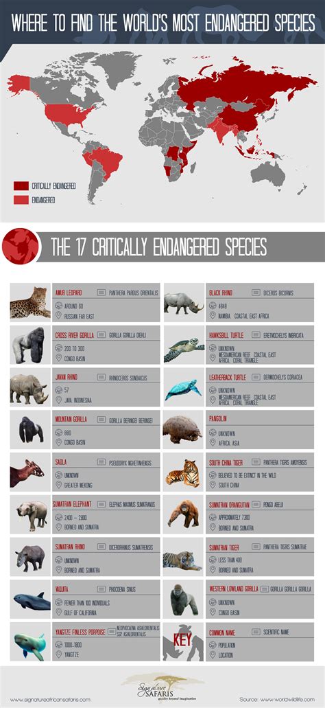 Most Endangered Animals Chart | Cute Animals