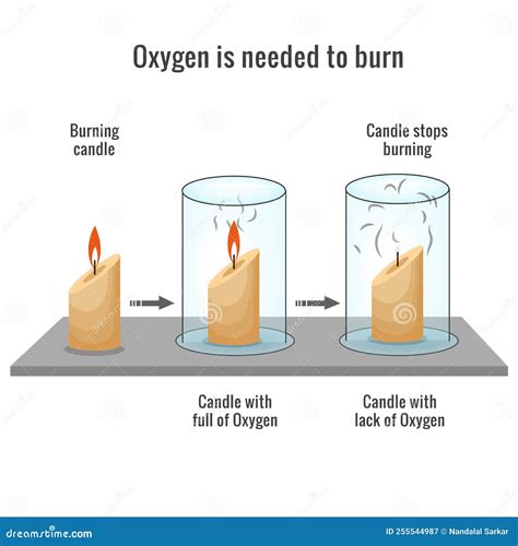 Oxygen is Needed for Burning a Candle Stock Vector - Illustration of ...