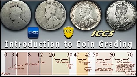 How to Grade Coins: Begginers Guide to the Sheldon Scale, Numismatics & Coin Collecting!! - YouTube