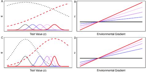 Models of adaptive evolution in a novel environment of a single 100... | Download Scientific Diagram