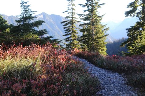 Camping at Snow Lake — Finding the Extraordinary in the Ordinary