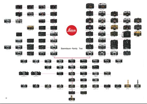 Overview of the M System | La Vida Leica! | Leica camera, Leica, Leica ...