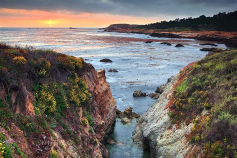 Point Lobos State Reserve 3 Photograph by Emmanuel Panagiotakis