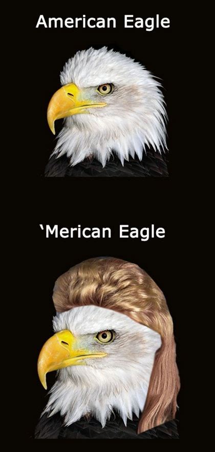 Bald Eagle Meme