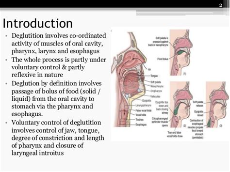 physiology of deglutition by ROOHIA