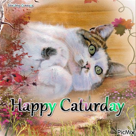 Happy Caturday - GIF animé gratuit - PicMix