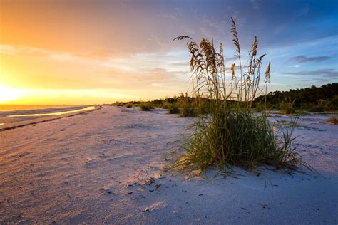 Honeymoon Island State Park | Visit St Petersburg Clearwater Florida