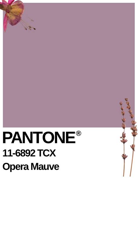 Pantone Opera Mauve