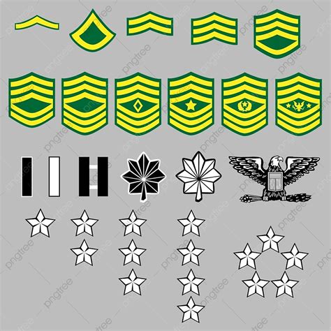 Army Insignia Vector PNG Images, Us Army Rank Insignia For Officers And Enlisted In Vector ...