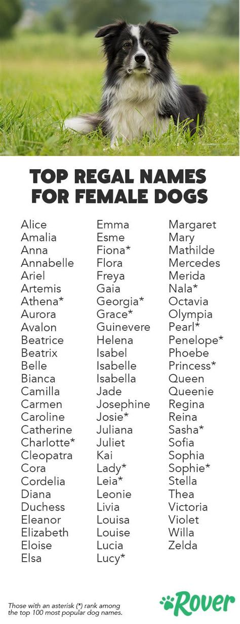 We've rounded up the top regal names for female dogs and puppies. in 2020 | Female dog names ...